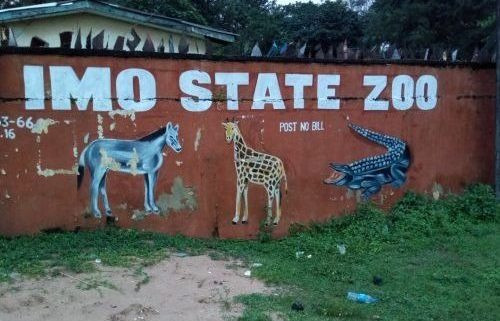 Hyena escapes from Imo zoo