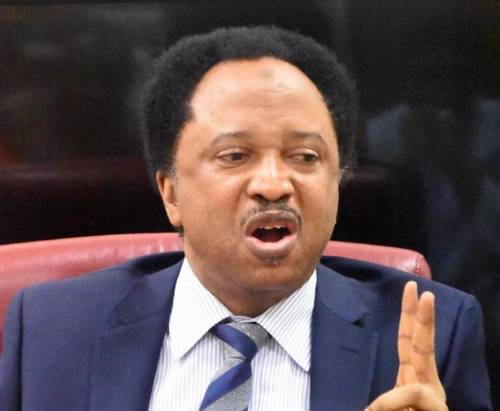 After Detention, Shehu Sani Shares Ordeal of Being Thrown into Underground Cell