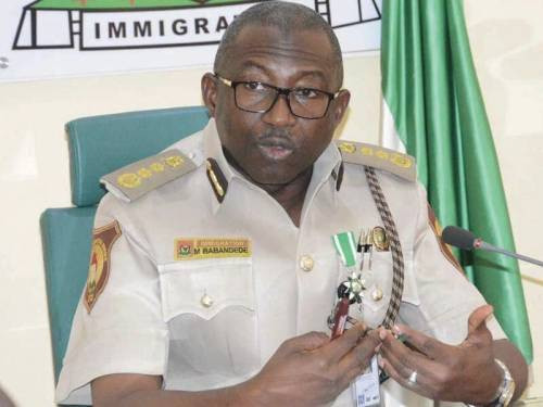 Immigration chief Mohammed Babandede recovers from COVID-19