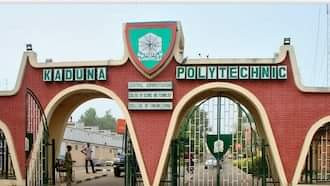 Kaduna Polytechnic sacks HOD over sexual harassment of female student