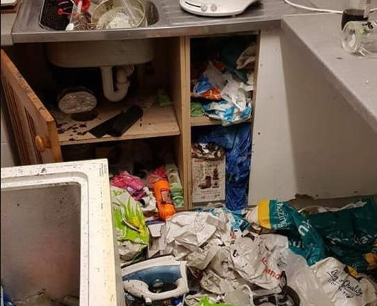 Heartbreaking Sight: Landlord Devastated by the State of His Property After Tenants’ Departure (Graphic Images)