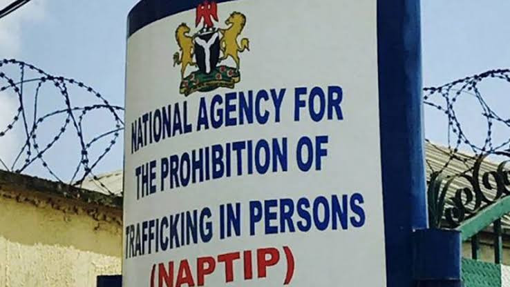 Lebanese ‘human trafficker’ arrested by NAPTIP