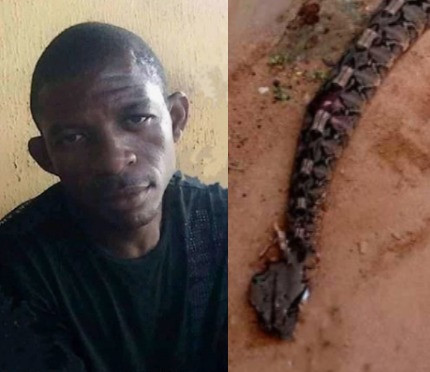 Tragic Death of a Man Bitten by a Snake in Umuahia