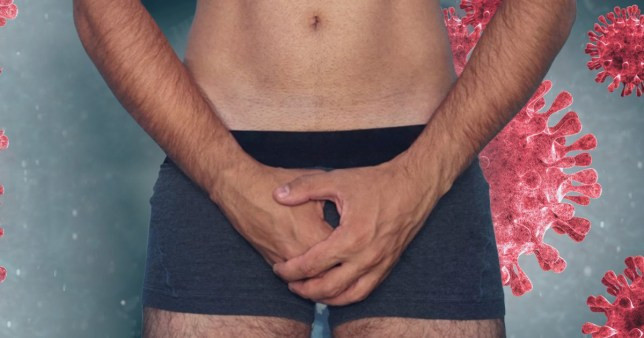 Men’s testicles ‘could make them more vulnerable to coronavirus’ – New study finds