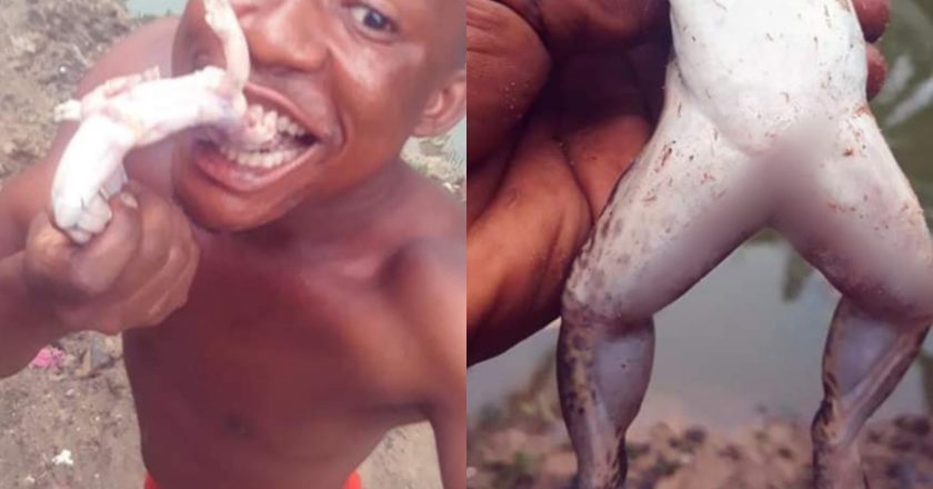The Unusual Dish: Nigerian Man’s Frog Meat Stew (See Photos)