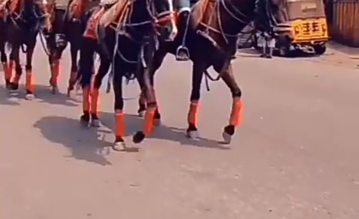 Okada ban: Horse ride from Ikoyi to Obalende is 3,500 Naira – Show promoter claims