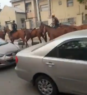 #Okadaban: Nigerians react as horses are now reportedly used to convey Lagosians to their destinations (video)