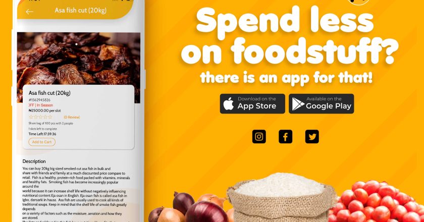 PricePally: The Solution for Saving Big on Food Expenses in Nigeria