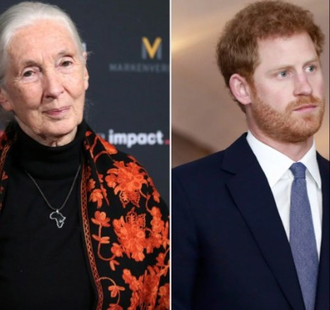 Friend Dr. Jane Goodall shares that Prince Harry is facing challenges after relocating