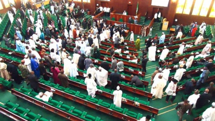 Reps to probe legality of Chinese nationals in Nigeria for repatriation
