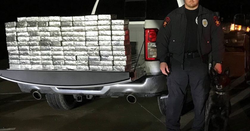 The Largest Drug Raid in Texas: Police Dog Sniffs Out $1.2 Million Worth of Drugs (with Photos)