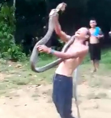 Snake charmer dies from king cobra bite while demonstrating his skills to villagers