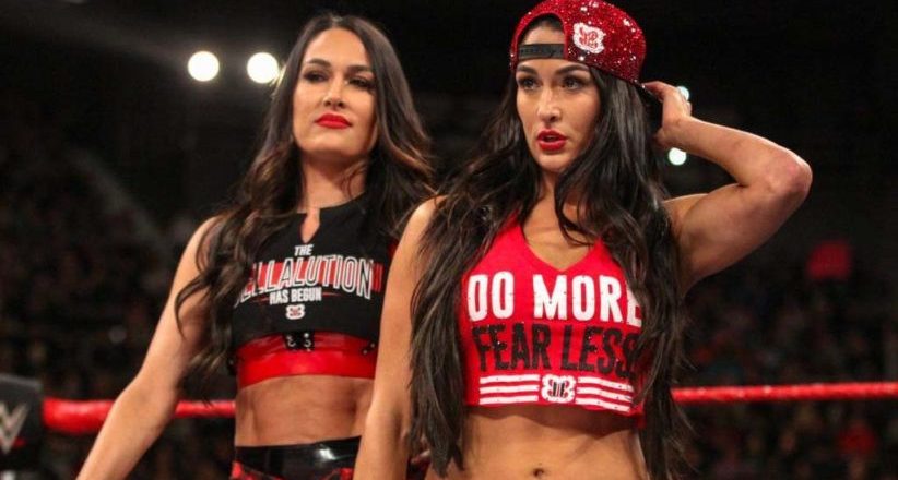 WWE twins Nikki and Brie Bella reveal simultaneous pregnancies