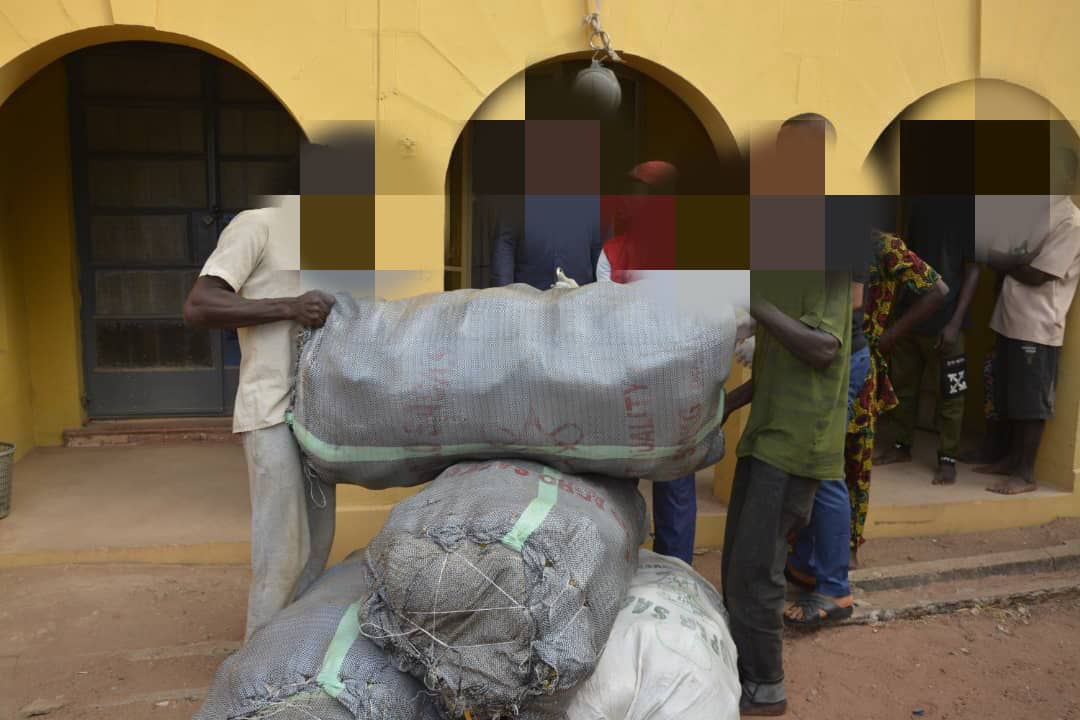 PICTORIAL: Army seizes 176kg of cannabis, hands over suspects to NDLEA