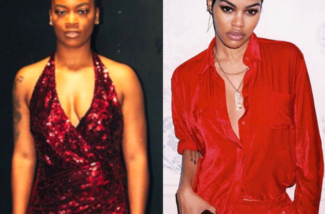 “Ari Lennox speaks out against the comparison to Rottweilers and the treatment of black women