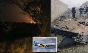 Brits, Canadians, Iranians, Afghan, Germans were all in the Ukraine plane that crashed or was 'reportedly shot down'