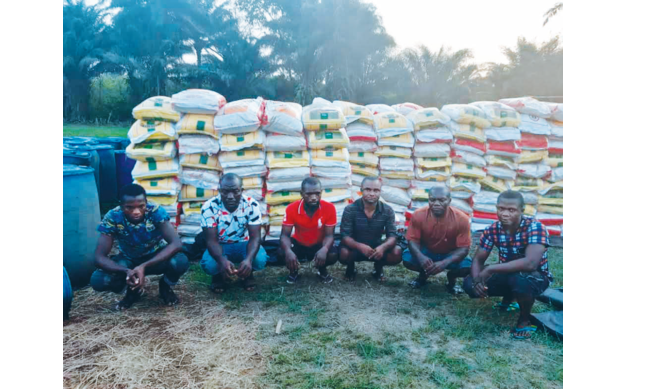 Six rice smugglers arrested by Nigerian navy, 1,439 bags of rice seized