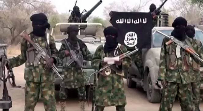 Five aid workers kidnapped by Boko Haram, now free