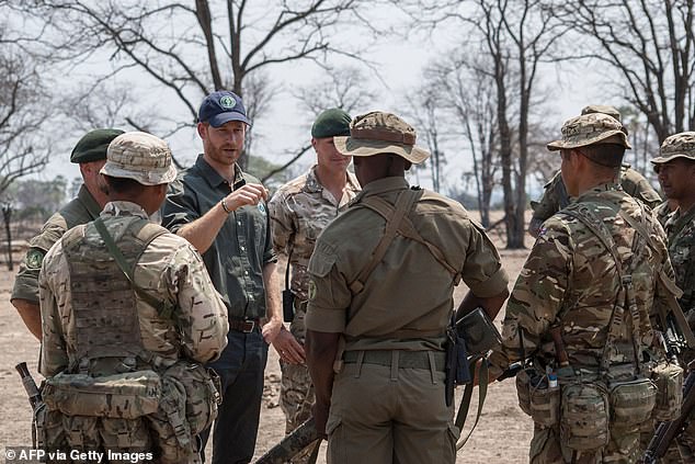 Concerns Mount Over Prince Harry’s Role in Conservation Charity Accused of Operating Militia in Africa
