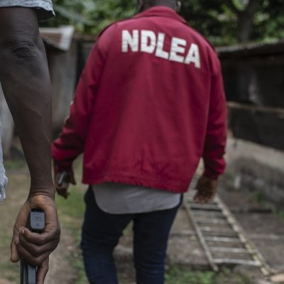 Recent Operation by NDLEA in FCT Leads to Arrest of 80 Suspects and Seizure of 3,000kg Drugs