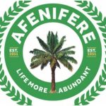 Afenifere’s Concern over Escalating Kidnappings and Criminal Activities in Nigeria