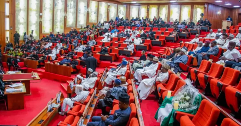 Senate witnesses chaos as lawmakers clash over seating arrangement