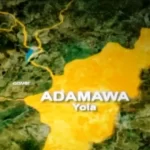 Concerns Raised Over Growing Presence of Herders in Adamawa State