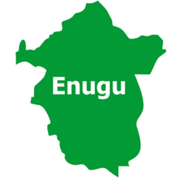Opposition to Establishment of Cattle Ranch in Enugu by World Igbo Congress