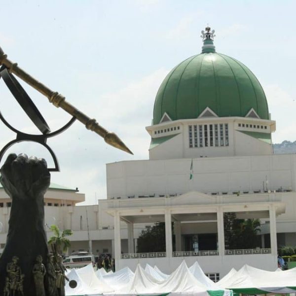Probe Initiated by NASS Regarding Safety Concerns in the Aviation Sector
