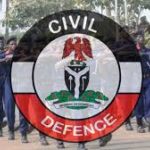 Yobe State: Six Alleged Thieves of Power Cables Arrested by NSCDC