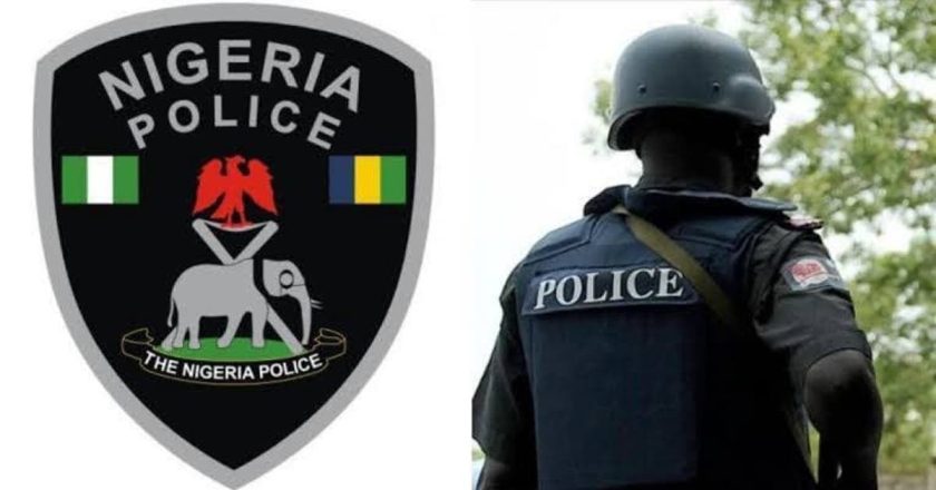 Two Suspected Fraudsters Apprehended by Police in Lagos