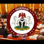 Senate proposes NIN for Nigerians abroad