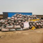 The Destruction of 28,959kg of Cannabis in Edo and Ekiti Forests by NDLEA