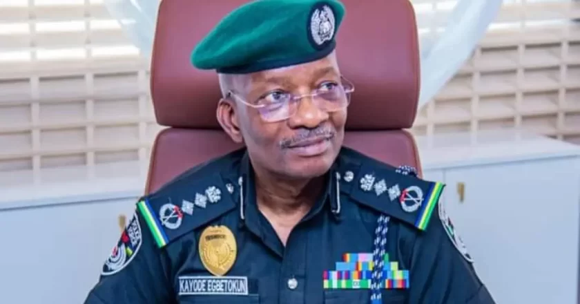 IGP criticized for opposing state police establishment