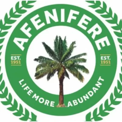 Concerns from Afenifere Regarding the Tragic Deaths of Soldiers and Police in Delta State