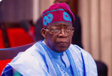 Delta speaker along with IYC praise Tinubu for the appointment of new PAP administrator