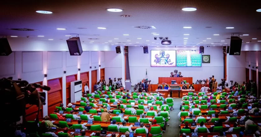 House of Representatives Push for Nigerian Government to Enforce Living Wage for Workers