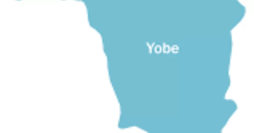 Yobe electoral commission reschedules local government election by two weeks