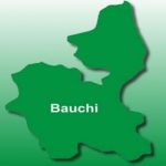 Bauchi declares Monday work-free day