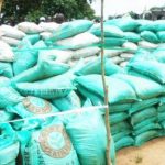 Ogbako Ndigbo Supports Farmers in South-East with Fertiliser Distribution