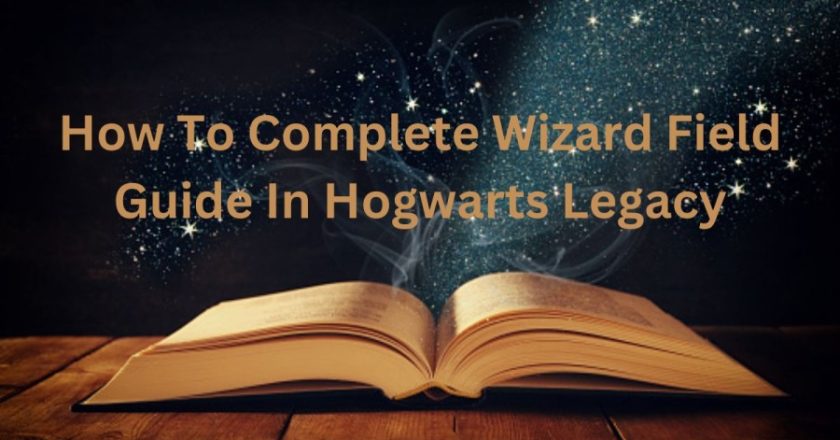 Guide on Completing the Wizard Field Guide in Hogwarts Legacy