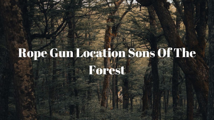 Rope Gun Location in Sons Of The Forest: How to Acquire the Rope Gun? -  NewsNow Nigeria