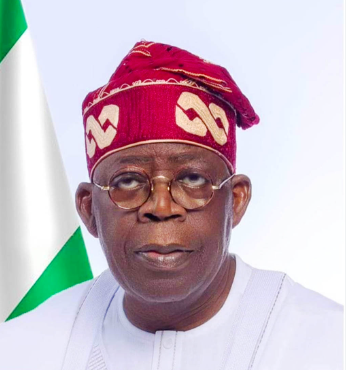 The Federal Government forms committee to mark Tinubu’s one-year anniversary