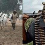 Urgent Update: Enugu Community Attacked by Herdsmen, Multiple Fatalities Reported