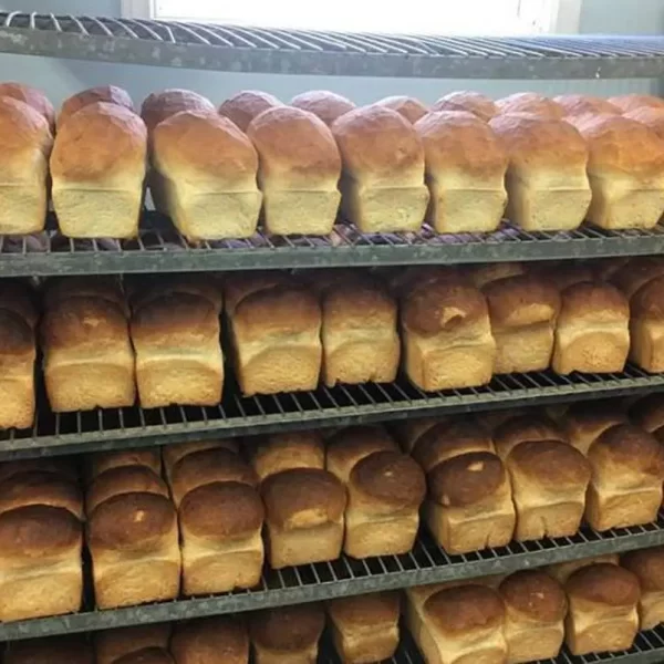Reasons behind the surge in bread prices as disclosed by bakers