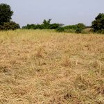 
    Escalation of Herdsmen Attacks Leaves Farming Communities Deserted in Benue