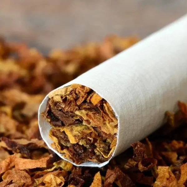 Report: Kano and Jigawa Lead in Tobacco Smoking Across Nigeria