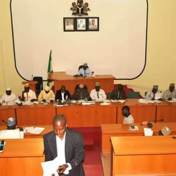 The call by Niger Assembly for decisive action against the culprits behind youth restiveness