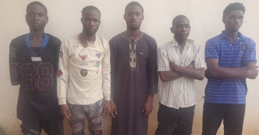 Adamawa Police arrest 5 gangsters from wanted list