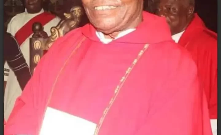 Rev Fr Basil Gbuzuo, Anambra Catholic Priest, Taken Hostage by Gunmen as Police Launch Search